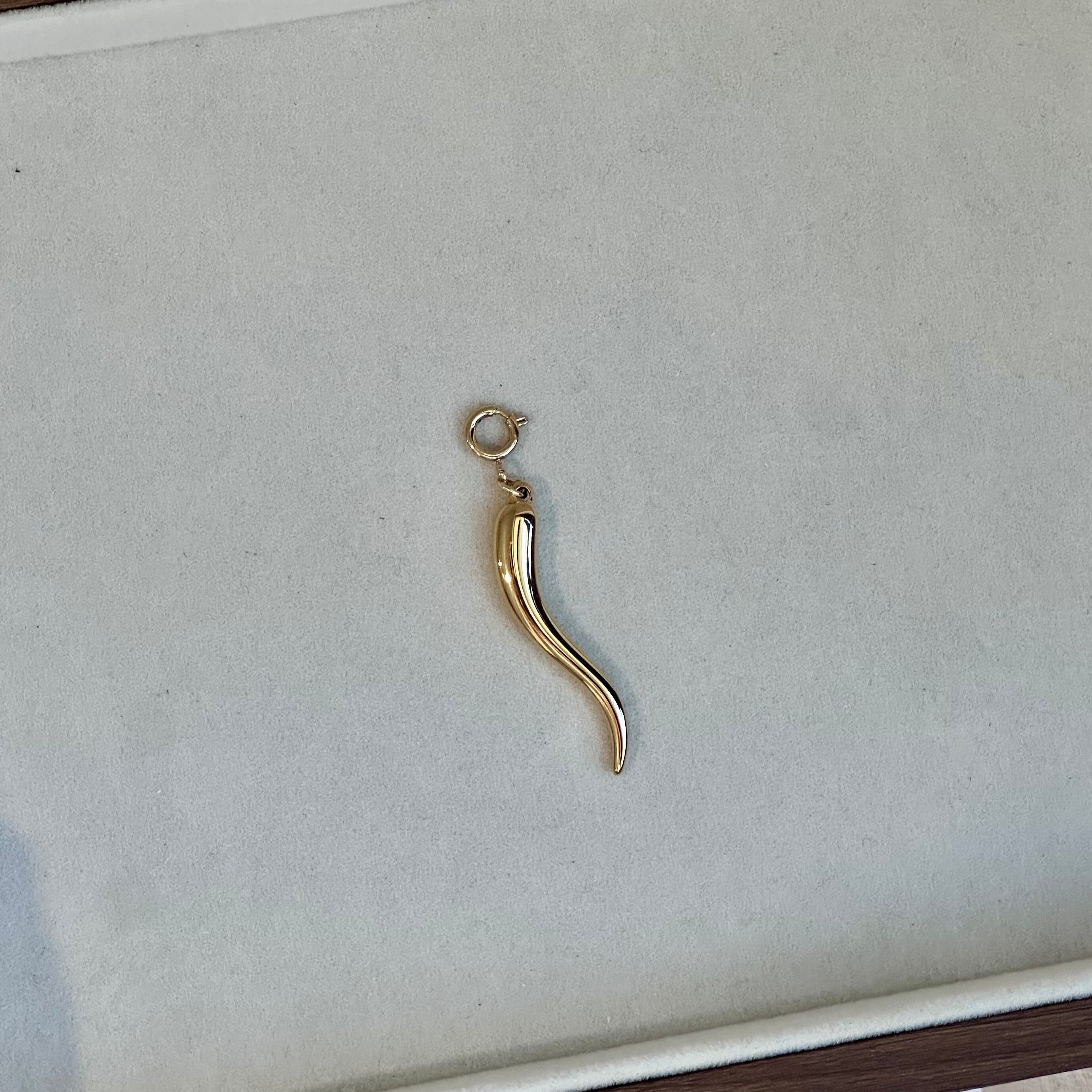 Luxe Cornicello Charm - Luisa Luxe gold jewellery