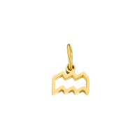 Zodiac Charms - Aquarius
