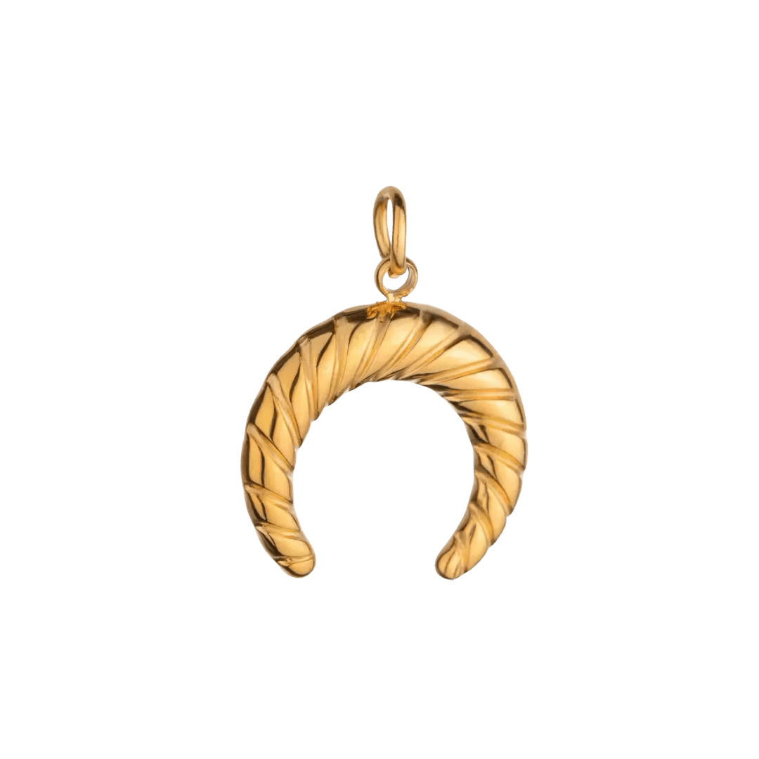 Lucky Horseshoe Charm - Luisa Luxe gold jewellery
