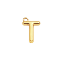 Mini Initial Charm - T