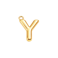 Mini Initial Charm - Y