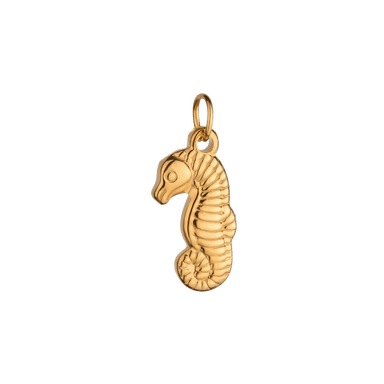 Seahorse Charm