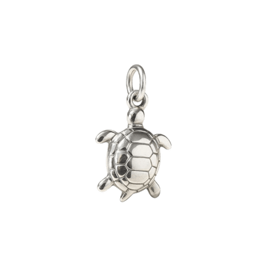 Silver Turtle Charm