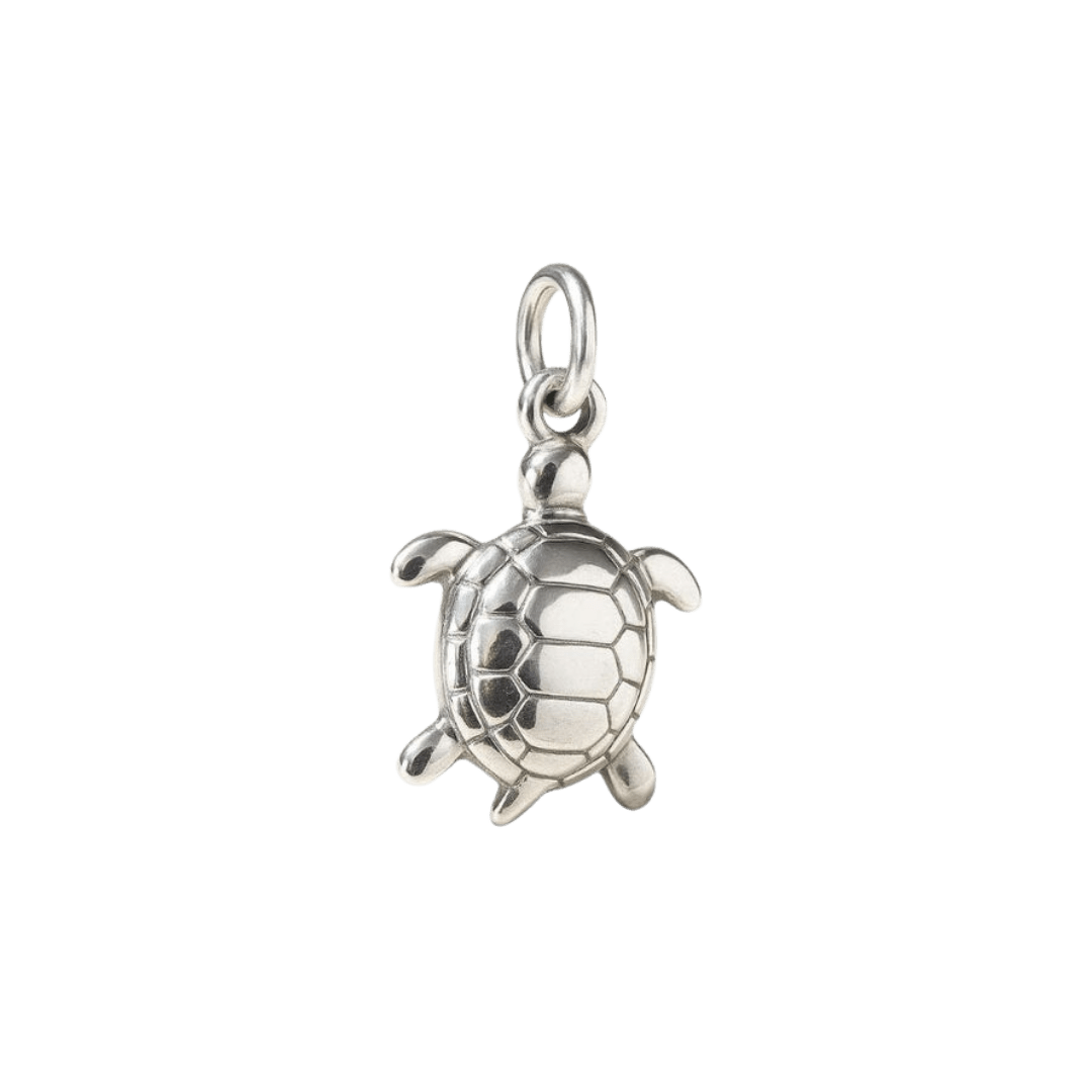 Silver Turtle Charm - Luisa Luxe gold jewellery