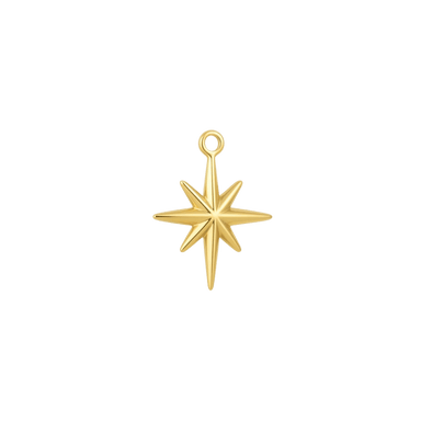 Dainty Star Charm